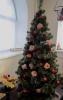 Нажми для просмотра img_1161_t1.jpg