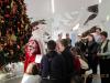 Нажми для просмотра img_1270_t1.jpg