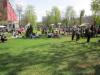 img_0429_t1.jpg