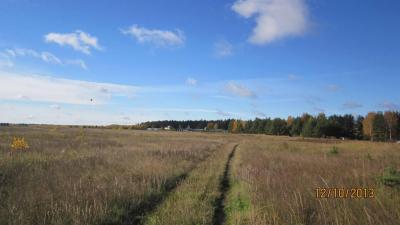 img_0156.jpg