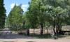 dsc_0141a_t1.jpg