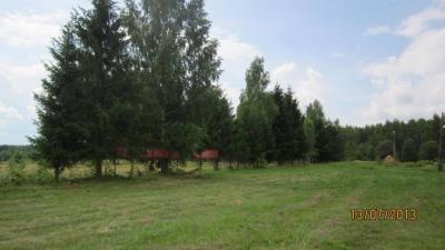 img_0176.jpg