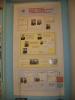 img_83491_t1.jpg
