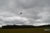 dsc_0781_t1.jpg