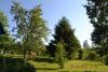 dsc_0071_t1.jpg