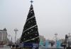 dsc_2369_t1.jpg