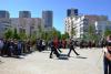 dsc_0431_t1.jpg