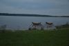 dsc_0474_t1.jpg