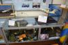 dsc_0699_t1.jpg