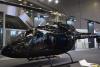 dsc_0800_t1.jpg