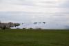 dsc_0271_t1.jpg
