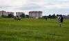 dsc_0275_t1.jpg