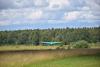 dsc_0181_t1.jpg