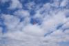 dsc_0279_t1.jpg