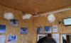 dsc_0310_t1.jpg