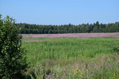 dsc_0170.jpg