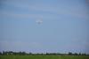 dsc_0298_t1.jpg