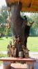 dscn4013_t1.jpg