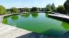 dscn4060_t1.jpg