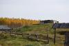 dsc_0911_t1.jpg