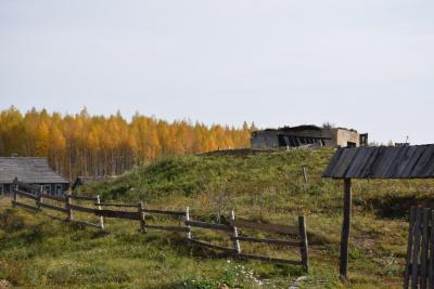 dsc_0911.jpg