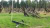 dscn0509_t1.jpg