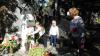 dscn0611_t1.jpg