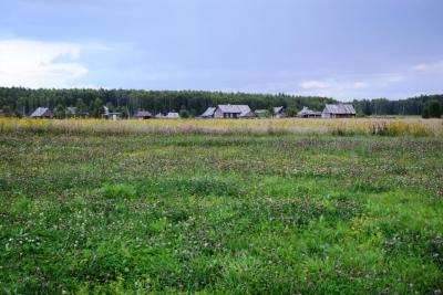dsc_0265.jpg