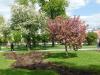 dscn5177_t1.jpg