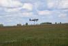 dsc_0783_t1.jpg