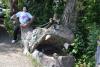 dsc_0251_t1.jpg