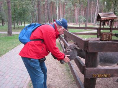 img_0798.jpg